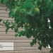 Сайдинг Ю-Пласт TIMBERBLOCK Пихта (Тимберблок) Cахалинская купить в Навашино